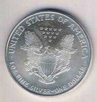 USA 1995. 1$ Ag 1oz. "Liberty" T:1