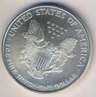USA 1995. 1$ Ag 1oz. "Liberty" T:1