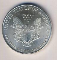 USA 1996. 1$ Ag 1oz. "Liberty" T:1