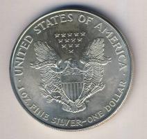USA 1996. 1$ Ag 1oz. "Liberty" T:1