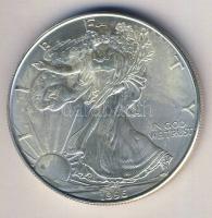 USA 1996. 1$ Ag 1oz. "Liberty" T:1