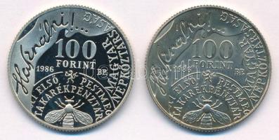 1986. 100Ft Cu-Ni-Zn "Fáy András" (2xklf) kapszulában T:BU,1 (eredetileg PP) 
Adamo EM96