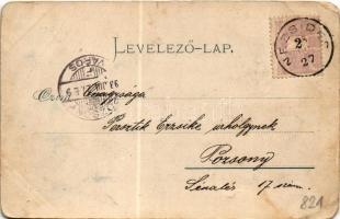 1898 (Vorläufer) Nezsider, Neusiedl am See; Dreifaltigkeitsäule errichtet im Jahre 1679. phot. v. Eu...