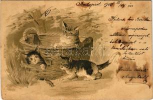 1900 Macskák. Dombornyomott / Cats - embossed litho (EK)