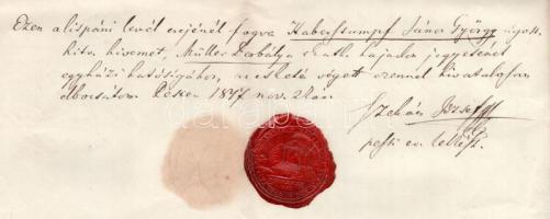 1847 Házassági engedély evangélikus férfi és katolikus nő részére, Nyáregyházi Nyáry Pál (1805-1871)...