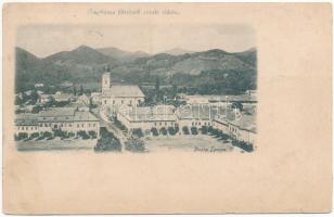 1899 (Vorläufer) Nagybánya, Baia Mare; Fő tér északi oldala, üzletek. Divald / main square, shops (r)