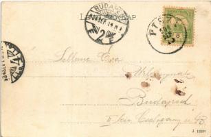 1904 Vajdahunyad, Hunedoara; Vajda-Hunyad vára. Hirsch Adolf kiadása. Photo-Chrom / castle (EK)