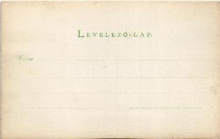 Déva, vár / castle. photo (vágott / cut)