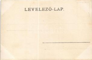 1903 Felcsút, vasút, a vonat az uradalmon átrobog, gőzmozdony. photo (fl)