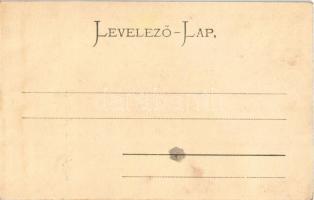 Szatmárnémeti, Szatmár, Satu Mare; Római katolikus székesegyház. Reizer János kiadása / cathedral (r...