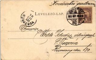 1901 Karánsebes, Caransebes; Az új állami polgári és elemi iskola. Hecskó Mór fényképész kiadása és ...