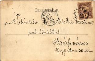 1901 Hátszeg, Hateg; Fő tér, Kéméndy Albert, Reiszfeld üzlete. Groszeck Károly kiadása / main square...