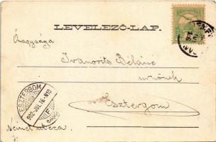 1902 Boksánbánya, Németbogsán, Deutsch-Bogsan, Bocsa Montana; látkép. Rosner Adolf kiadása / general...