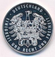 Németország 2006. "Labdarúgó-világbajnokság" Ag emlékérem (25,61g/0.925/40mm) T:PP patina,...