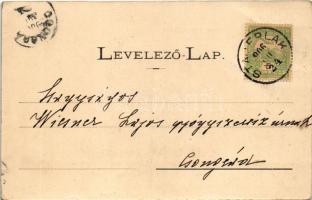 1906 Anina, Stájerlakanina, Steierdorf; részlet a hegyipályáról. Hollschütz F. kiadása / mountain ra...