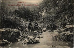 1910 Resicabánya, Resica, Resicza, Resita; Dománi-völgy. Braumüller L. kiadása / Dománer Tal / Doman valley (szakadás / tear)