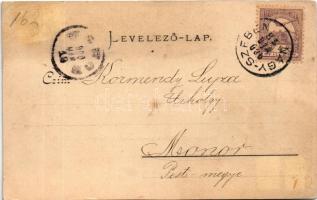 1900 Nagyszeben, Hermannstadt, Sibiu; Szent Ferenc-rendi nővérek tan- és nevelőintézete / Franciscan...