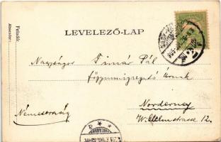 1905 Nagyvárad, Oradea; Részlet a Sebes-Körös folyóról, zsinagóga, híd / Crisul Repede riverside, br...