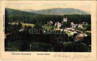 1906 Borszék, Borsec; látkép. Soós kiadása / general view, spa (EK)