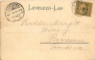 1906 Borszék, Borsec; látkép. Soós kiadása / general view, spa (EK)