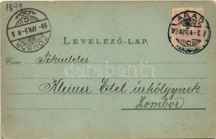 1899 (Vorläufer) Arad, Városliget. Bloch H. kiadása / park (kopott sarkak / worn corners)