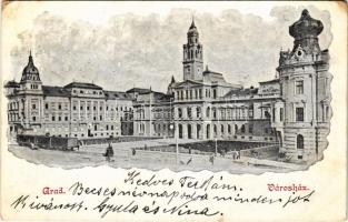 1902 Arad, Városháza, városi vasút, vonat / town hall, urban railway, train (r)