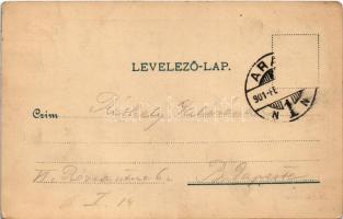 1901 Arad, Városháza. Lengyel L. műintézete / town hall (EK)