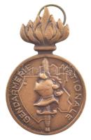 Gabon DN Országos Csendőrség kétoldalas bronz kitüntetés mellszalag nélkül T:1-,2 Gabon ND National Gendarmerie two-sided bronze medallion without ribbon C:AU,XF