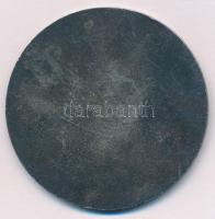 1961. "100 éves az Óbudai Szeszgyár" ezüstpatinázott fém emlékérem (60mm) T:2 patina