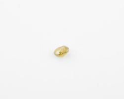 Ovális csiszolású gyémánt, 0,11 cts