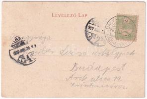 1902 Tusnádfürdő, Baile Tusnad; Szt. Anna tó / Sanct Anna See / lake. Art Nouveau, floral (EK)