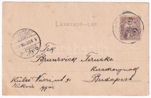 1900 Brassó, Kronstadt, Brasov; Árokmenti kirándulás, Lövészház, sör és bor. Julius Müller's Na...