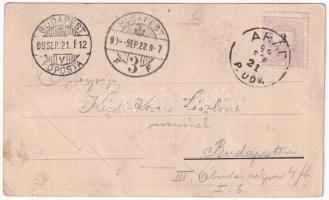 1899 (Vorläufer) Arad, 1849-1899 Október 6. Aradi Vértanúk. Muskát M. kiadása / The 13 Martyrs of Ar...