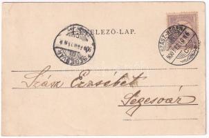 1900 Szászrégen, Reghin; Város részlet a sétatérrel / Stadtteil mit Promenade. Ignaz Hübner (EK)