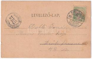 1902 Görgénysóakna, Görgény-Sóakna, Jabenita (Maros); fürdők / spas. Art Nouveau, floral (EK)