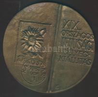 1981. "19. Országos Ifjúsági Bélyegkiállítás" nagyalakú Br plakett T:2