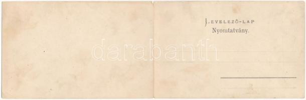 Oravica, Oravita; Az osztrák-magyar államvasúttársaság gőzhengermalma. Weisz Félix kiadása, 2-részes...