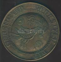 DN "Gerencsér Sebestyén Díj" nagyalakú Br plakett T:2