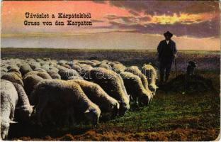 1916 Erdélyi Kárpátok, juhász és juhnyáj / Transylvanian Carpathians, shepherd and flock of sheep, folklore (EK)