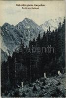 1917 Erdélyi-Kárpátok, Siebenbürgische Karpathen; Partie am Haitasel. Nr. 354. Jos. Drotleff 1917