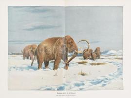 20-30 db térkép és metszet