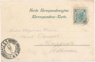 1901 Ternopil, Tarnopol; Plac Sobieskiego / Sobieskiplatz / square in winter. C. Haliczer Art Nouvea...