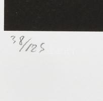 Andy Warhol (1928-1987): Marylin Monroe. Ofszet litográfia, papír. Számozott: 38/125, jelzett a nyom...