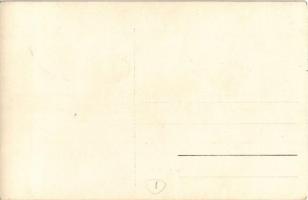 Magyar katonai pilóta (?) / Hungarian military pilot (?). photo