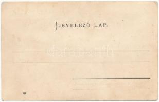 Nagyszeben, Hermannstadt, Sibiu; Elektrische Omnibus: Abfahrt vom Bahnhof. Verlag G. A. Seraphin, Li...