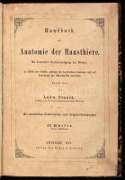 Ludw[ig] Franck: Handbuch der Anatomie der Hausthiere. II. Hälfte. Zweite Abtheilung. Mit besonderer Berücksichtigung des Pferdes. Stuttgart, 1871, Ebner&Seubert, XII+801-1067+1 p. Német nyelven. Szövegközti fametszetekkel illusztrált. Korabeli aranyozott gerincű félbőr-kötés, kopott borítóval, foltos lapokkal, a gerinc tetején kis hiánnyal, bekötött papírborítókkal.