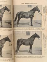 Döhrmann Henrik: Lótenyésztés I. kötet: Külemtan és fajtaisme. Bp., 1922., Országos Magyar Gazdasági...
