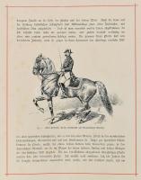 Schvenbeck, Richard: Aus der Blüthezeit der Reitkunst. Berlin, 1896. Hayn. 24t. Lórajzok a lovaglás ...