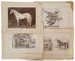 cca 1890 Ló és lovas pózók 11 db nagyméretű tábla,fametszetek, némelyik kissé sérült. 35x27 cm