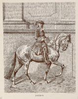 cca 1890 Ló és lovas pózók 11 db nagyméretű tábla,fametszetek, némelyik kissé sérült. 35x27 cm